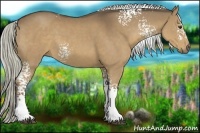 Horse Color:White Spotted Liver Chestnut Rabicano