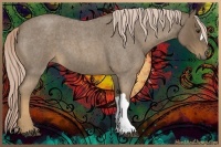 Horse Color:Chocolate Palomino Roan 