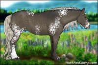 Horse Color:White Spotted Liver Chestnut 