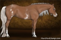 Horse Color:White Spotted Silver Bay Splash 