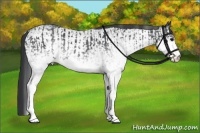 Horse Color:White Spotted Blue Roan Rabicano  and White Spotted Blue Roan Rabicano 