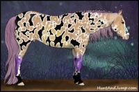 Horse Color:Watercolor Buckskin Sabino Appaloosa 
