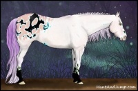 Horse Color:Watercolor Amber Champagne Dun Sabino Appaloosa 