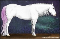 Horse Color:Watercolor White Spotted Liver Red Onyx Appaloosa