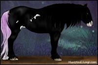 Horse Color:Watercolor Buckskin Dun Appaloosa 