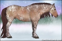 Horse Color:Chocolate Brown Ice Sabino 