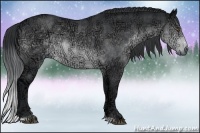 Horse Color:Brown Chinchilla Ice Sabino