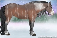 Horse Color:Brown Ice Sabino 