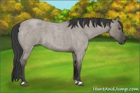 Horse Color:Smoky Grullo Roan