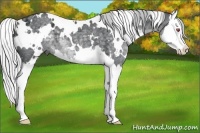 Horse Color:White Spotted Silver Black Chinchilla Ice Splash 