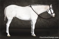 Horse Color:White Spotted Chocolate Palomino Roan Pearl Splash 
