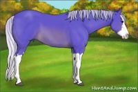 Horse Color:Watercolor Silver Brown Splash 
