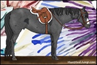 Horse Color:Black Ice 