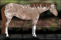 Horse Color:Chestnut Ice 