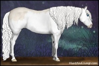 Horse Color:Silver Perlino Roan Splash 