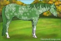 Horse Color:Watercolor Black Ice 