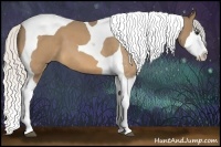 Horse Color:Silver Buckskin Roan Splash Tobiano 