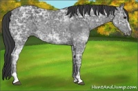 Horse Color:Smoky Black Ice Sabino