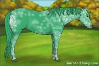 Horse Color:Watercolor Black Ice 
