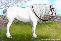 Horse Color:White Spotted Liver Chestnut Tobiano Appaloosa 