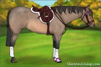 Horse Color:Buckskin Roan 