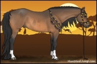 Horse Color:Buckskin  and Buckskin 