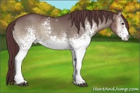 Horse Color:White Spotted Chocolate Blue Onyx 