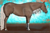 Horse Color:Chocolate Silver Smoky Black Tobiano 