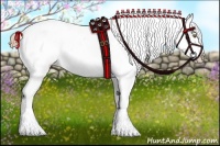 Horse Color:White Spotted Liver Chestnut Sabino Blanket 