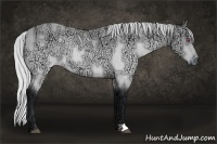 Horse Color:Silver Brown Chinchilla Ice Rabicano