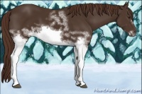 Horse Color:White Spotted Liver Chestnut Frame
