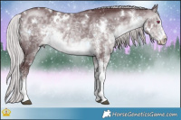 Horse Color:White Spotted Chocolate Silver Brown Chinchilla