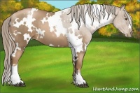 Horse Color:White Spotted Liver Chestnut Pearl