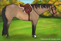 Horse Color:Bay Roan Dun 