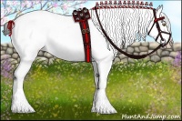 Horse Color:Liver Chestnut Sabino Splash Appaloosa 