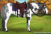 Horse Color:White Spotted Smoky Black Sabino 