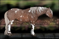 Horse Color:White Spotted Silver Brown Tobiano