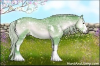 Horse Color:Watercolor White Spotted Silver Blue Onyx Chinchilla Ice 