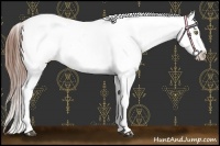 Horse Color:Bay Roan Near Fewspot 