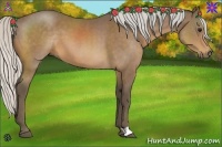 Horse Color:Silver Buckskin 