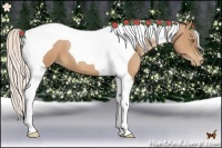 Horse Color:Silver Bay Pearl Tobiano 