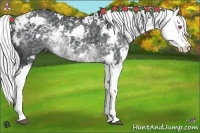 Horse Color:Silver Black Chinchilla Sabino Splash 