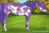 Horse Color:Watercolor Bay Roan Sabino Frame 