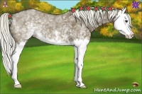 Horse Color:White Spotted Liver Red Dun Splash 