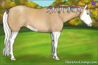 Horse Color:Silver Classic Champagne Splash