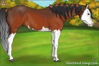Horse Color:Brown Splash 