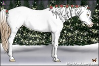 Horse Color:Chestnut Pearl Appaloosa 