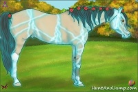 Horse Color:Thunderstruck Classic Champagne Dun 
