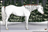 Horse Color:White Spotted Silver Bay Pearl Splash Appaloosa 