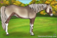 Horse Color:Silver Blue Onyx